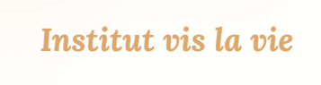 Logo de Institut Vis la Vie